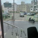 홍익 궁중 전통 육개장 울산방어점