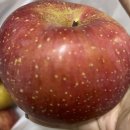 올댓마켓(부천점) 이미지