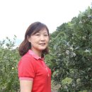 강신농장 이미지