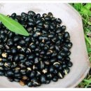 한빛한의원 이미지