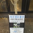 고성동술집 [구구포차 고성점] 치맥, 2인세트 강추!
