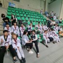 경희대 도담 태권도장 이미지