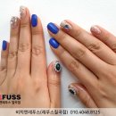 비치앤레푸스