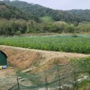 오송농수산물