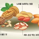 아몬드 이미지