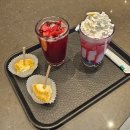 체리오트 | 스타벅스 윌리 체리 푸딩 크림 프라푸치노 후기｜가격·칼로리·맛·비주얼 총정리