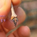 너랑나랑어린이공원 이미지