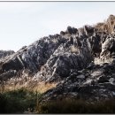 으뜸카랜드 이미지