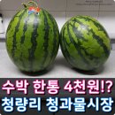 현덕목장 | 청량리 청과물시장 후기 :: 8.5kg 수박 한통에 4천원이네요.
