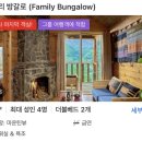 베트남 사파 락식에코로지 패밀리방갈로 내돈내산 후기