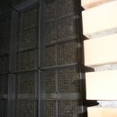 쌈채우리 이미지