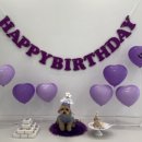 핫도그 반려견 유치원 이미지