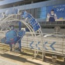 진선장 | 노량진 수산시장 손선장 모듬회와 거부식당 초장집 방문 후기