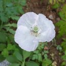 금오호텔 이미지