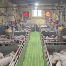 경남축사 이미지