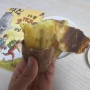 촉촉한 밤고구마 해남꿀밤고구마 에어프라이기로 햇고구마 굽굽