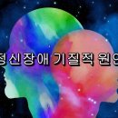 정신장애의 4가지 요인