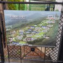 충남슈퍼 | [충남 아산] 4월 피나클랜드 수목원 수선화&amp;튤립축제 방문후기