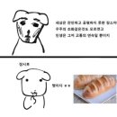 강아지와 나 이미지