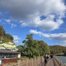 백운호수 제방 | 11월초 다녀온 의왕 백운호수 단풍 나들이 후기