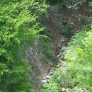 미래사랑식당 이미지