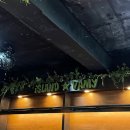 프레클데이 이미지