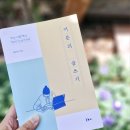 어른의 글쓰기 | 어른의 글쓰기 수업 후기(2025.3-6월, 서울의 시간을 그리다)