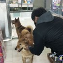 (주)디케이코리아 이미지