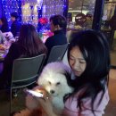 나와놀개 이미지