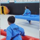 감사랑리더십태권도장 이미지