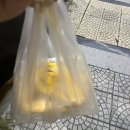 인도야시장 | 다낭 선짜 야시장 방문, 응옥린 스파 후기 + 픽업 정보까지