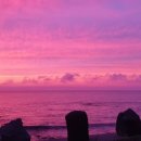 마농 민박 이미지