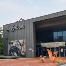진주익룡발자국전시관 | 진주 아이랑 가볼 만한 곳! 실내 체험 가득한 진주익룡발자국전시관 솔직 후기