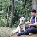 팅커벨하우스 이미지