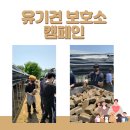 마노크리에이티브그룹 이미지