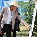 김진태 농가 이미지