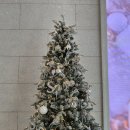 비스타리조트 | [제주도 숙소] 더 시에나 리조트 비스타 스위트룸 후기