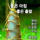 빵빠레 이미지