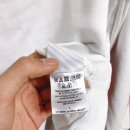 화이트부러쉬 이미지