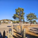 울진 봉평리 신라비 전시관 이미지