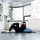 짐포레스트 이미지