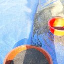 장도리민박 이미지