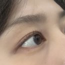 아이라이크(EYE LIKE) 이미지