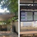 뉴코아아울렛 앞 횡단보도 이미지