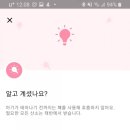 르메르디앙목