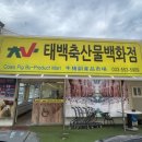 태백축산물백화점 이미지