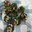 디 카페(D CAFE) 이미지