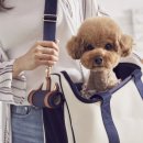 서울어린이대공원동물병원 이미지