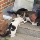 면천보건지소 이미지