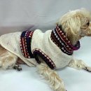 서구애견센타 이미지